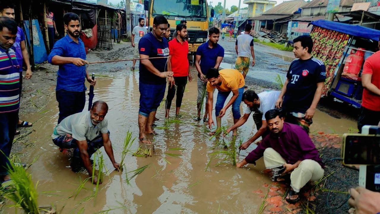 ফরিদপুর-ভাঙ্গা মহাসড়কে গর্তে ধান চাষ ও মাছ ধরার দৃশ্য, চরম দুর্ভোগে সাধারন মানুষ