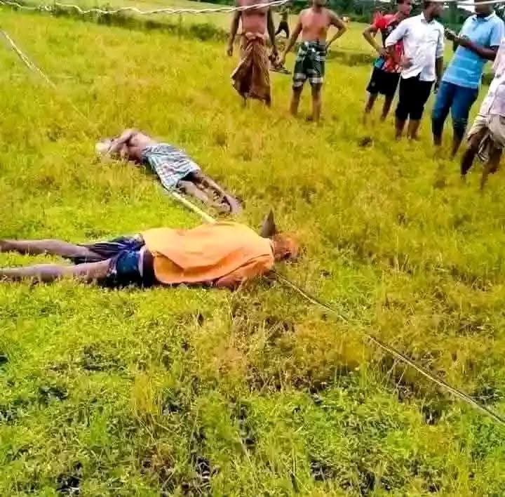 বিদ্যুৎ স্পৃষ্ট হয়ে ২ জন কৃষকের মর্মান্তিক মৃত্যু