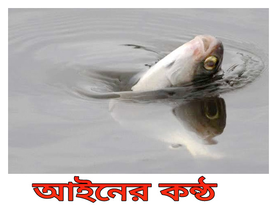 প্রায় সব জীব কেন অক্সিজেন নিয়ে বেঁচে থাকে?