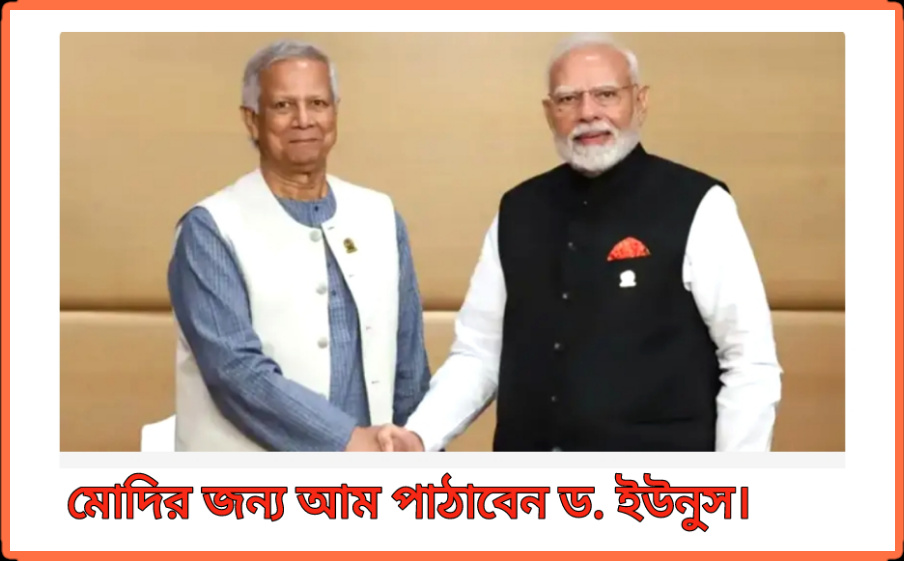 এবার নরেন্দ্র মোদির জন্য ১০০০ কেজি আম উপহার পাঠাচ্ছেন প্রধান উপদেষ্টা।