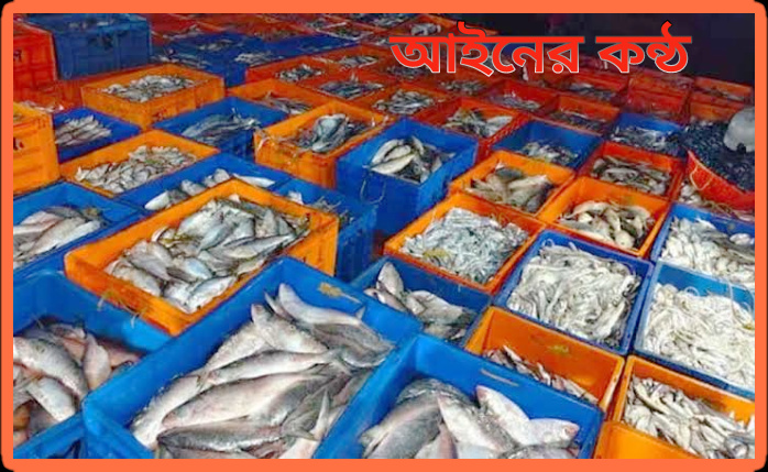 ভারতীয় জেলেদের ধাওয়া করে জব্দ করা মাছ ১৭ লাখ টাকায় বিক্রি।