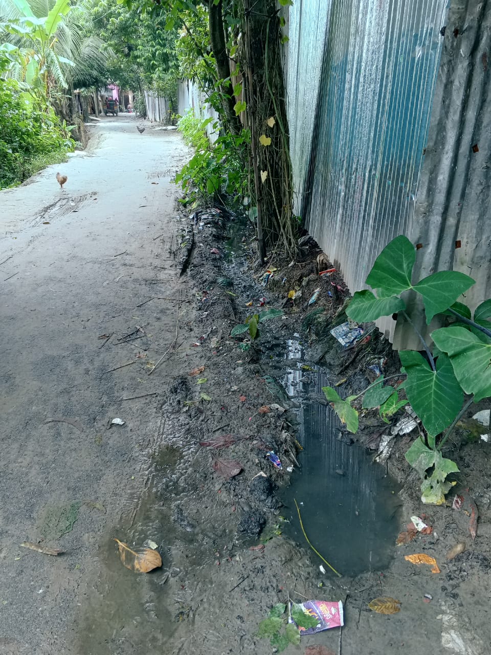 সাঘাটা উপজেলার কৈচড়া গ্রামে রাস্তার পাশে ড্রেন নির্মাণের জোর দাবি।