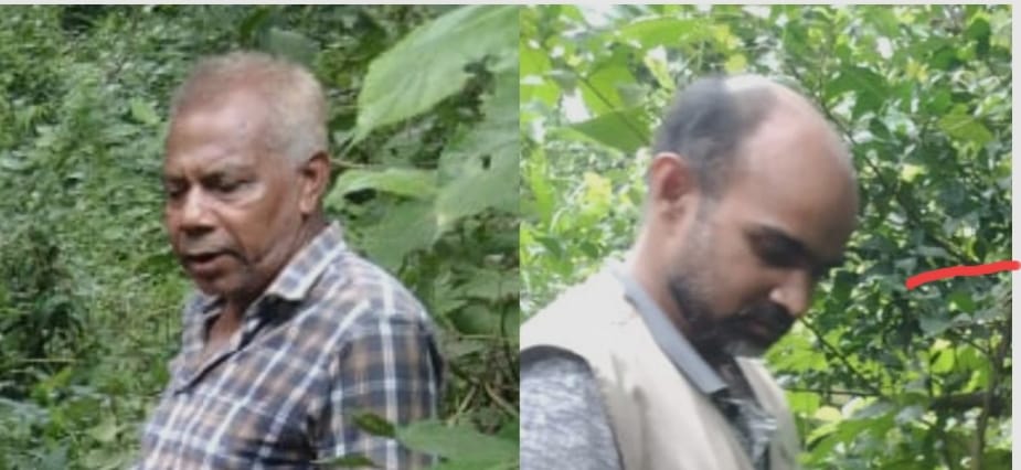 গাছ চুরির খবর সংগ্রহ করতে গিয়ে দুই সাংবাদিক হামলার শিকার