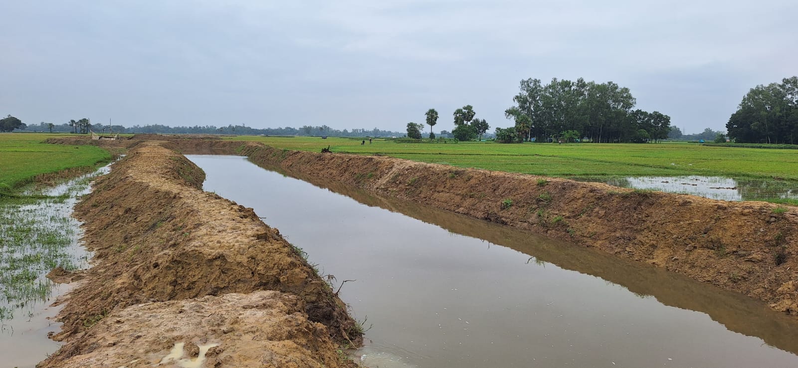 প্রধানমন্ত্রী তারেক রহমানের পরিকল্পনা, আদমদীঘিতে খাল খননে বদলে গেল কৃষিচিত্র!!
