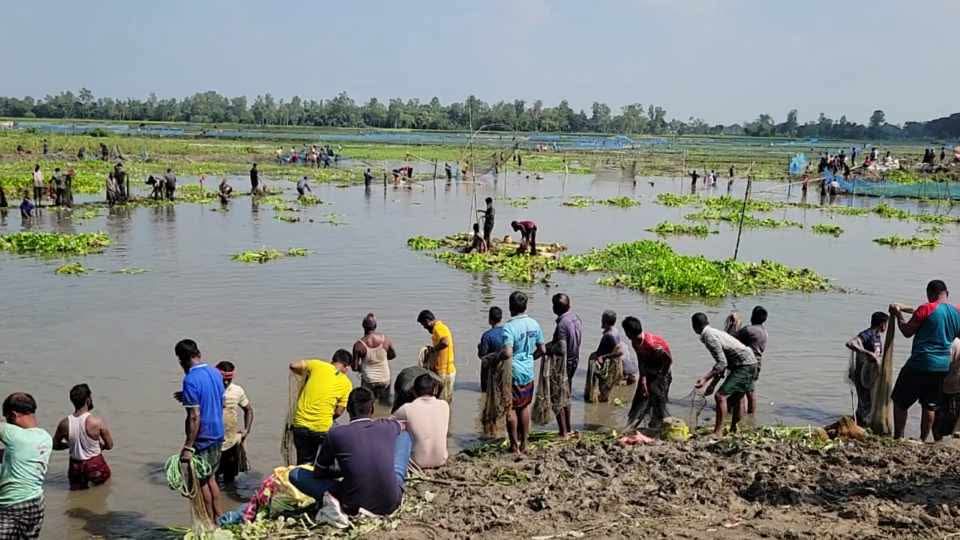​বুড়ির বাঁধে শুরু হয়েছে ঐতিহ্যবাহী মাছ শিকার উৎসব, হাজারো মানুষের ঢল